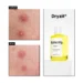 DRYZIT