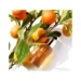 Academie Radiance Serum 12H
