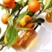 Academie Radiance Serum 12H