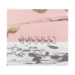 Academie Sea Collagen Ampoules