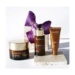 Academie Seve Miracle The Eyes