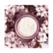 Academie Time Active Eye Contour Cream Dynastiane