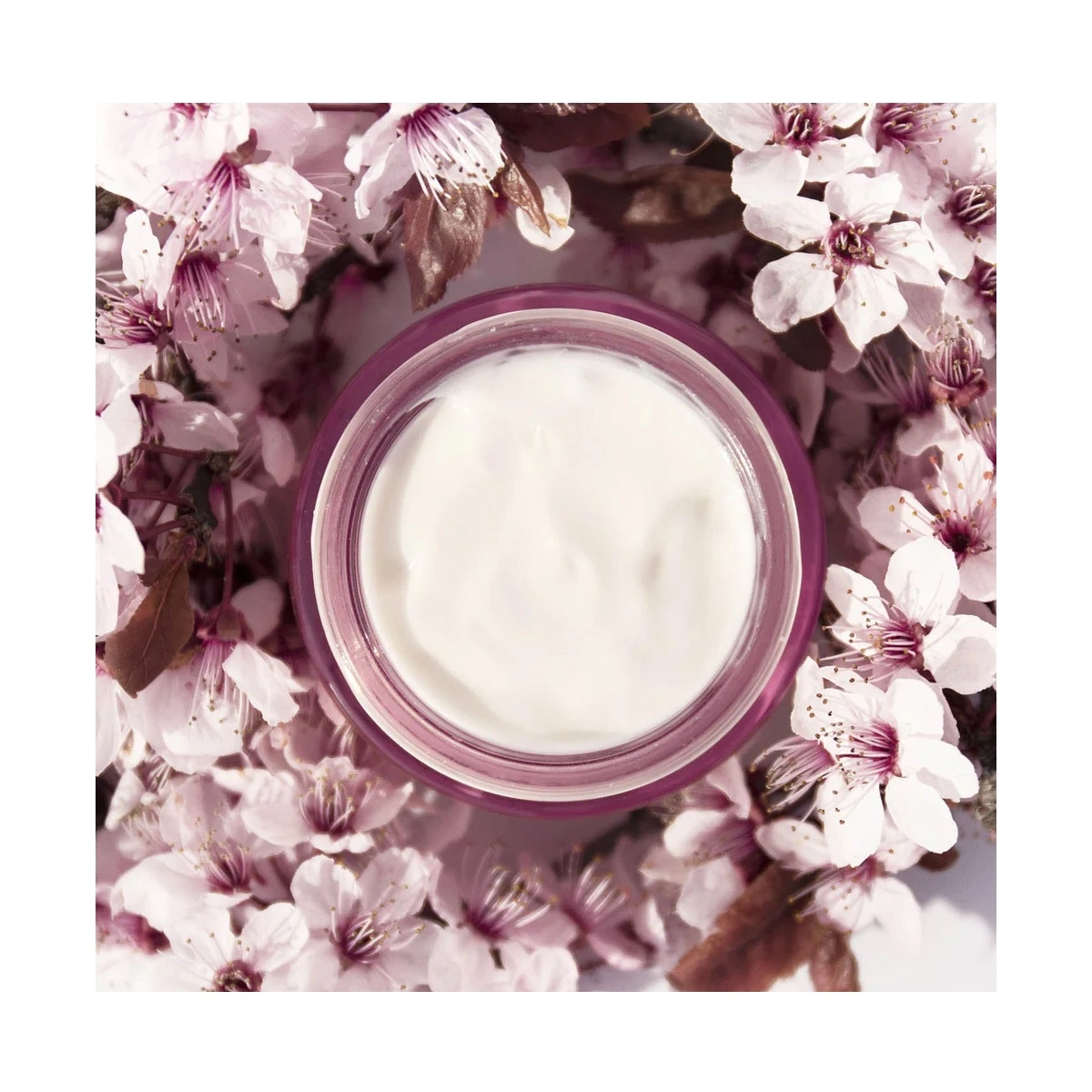 Academie Time Active Eye Contour Cream Dynastiane