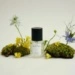 ANILLO Patchouli Garden Eau De Parfum